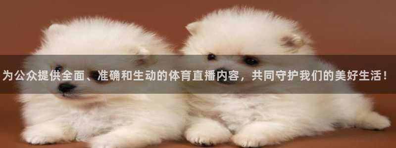 919直播间官网：为公众提供全面、准确和生动的体育直播内容，共同守护我们的美好生活！