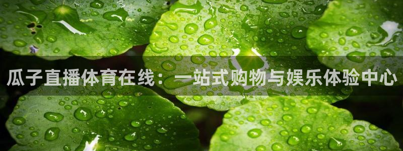 足球直播919：瓜子直播体育在线：一站式购物与娱乐体验中心