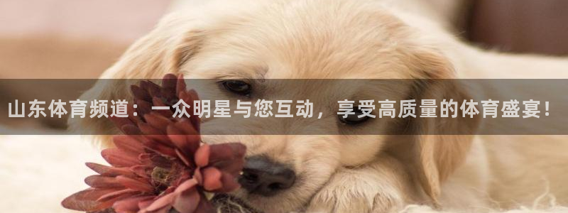919足球直播：山东体育频道：一众明星与您互动，享受高质量的体育盛宴！