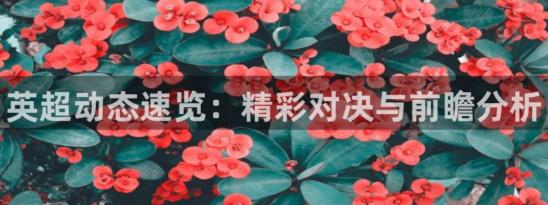 919直播足球：英超动态速览：精彩对决与前瞻分析
