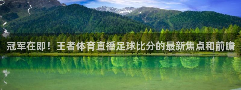 919直播看球下载：冠军在即！王者体育直播足球比分的最新焦点和前瞻