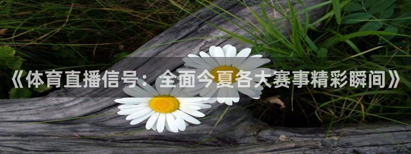 919直播看球在线观看：《体育直播信号：全面今夏各大赛事精彩瞬间》